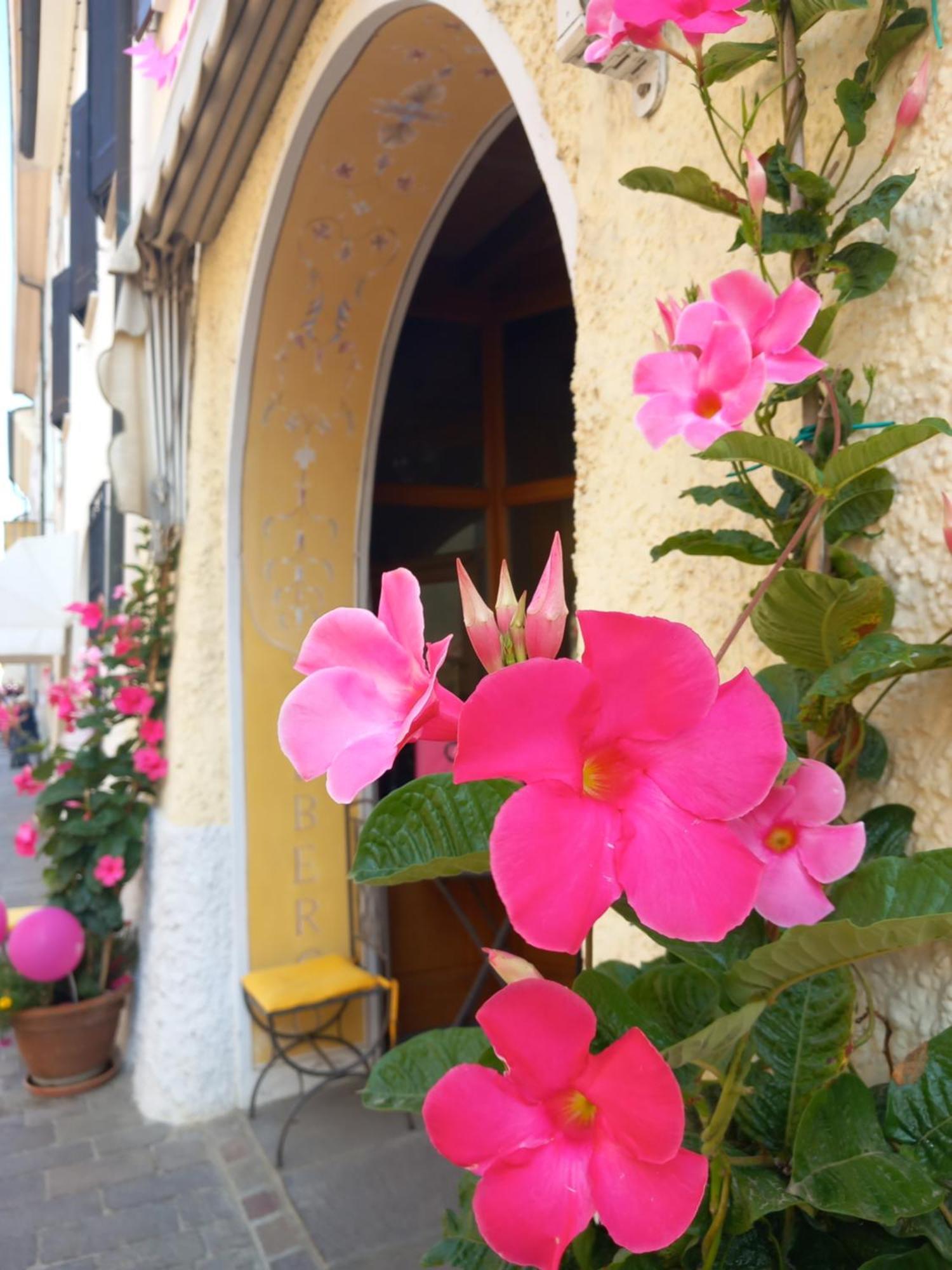 Albergo Giulia Gonzaga Sabbioneta Exteriör bild